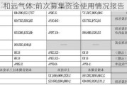 和远气体:前次募集资金使用情况报告