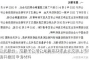 公元股份：控股子公司公元新能拟终止北交所上市申请并撤回申请材料