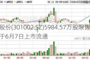 崧盛股份(301002.SZ)5984.57万股限售股将于6月7日上市流通