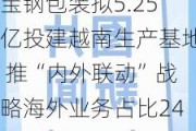 宝钢包装拟5.25亿投建越南生产基地 推“内外联动”战略海外业务占比24%