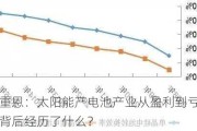 白重恩：太阳能产电池产业从盈利到亏损，背后经历了什么？