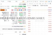 房多多盘中异动 急速拉升5.00%报0.569美元