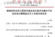 实控人“潜逃海外且失联”？东方材料否认，上交所向公司下发监管工作函