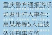 重庆警方通报游乐场发生打人事件：高某希等5人已被依法刑事拘留