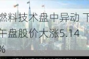 燃料技术盘中异动 下午盘股价大涨5.14%