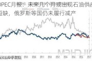 OPEC月报：未来几个月或出现石油供应短缺，俄罗斯等国仍未履行减产