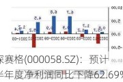 深赛格(000058.SZ)：预计半年度净利润同比下降62.69%