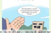 农业农村部：严守农村宅基地政策底线红线不动摇 切实加强农村宅基地规范管理