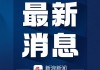 美国考虑采取更严格措施施压日本荷兰，限制与中国芯片贸易，外交部：希望有关国家坚决抵制胁迫