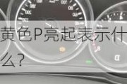 ***P亮起表示什么？