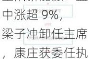 金阳新能源：盘中涨超 9%，梁子冲卸任主席，康庄获委任执行董事