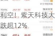 利空！紫天科技大跌超12%