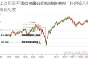 上交所召开集成电路公司座谈会 共推“科创板八条”落地见效