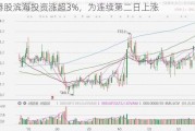 港股滨海投资涨超3%，为连续第二日上涨