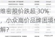 维密股价跌超 30%，小众高价品牌困境何解？