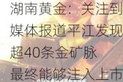 湖南黄金：关注到媒体报道平江发现超40条金矿脉 最终能够注入上市公司的黄金***以评审备案的储量为准