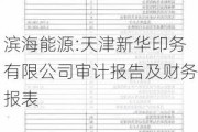 滨海能源:天津新华印务有限公司审计报告及财务报表