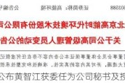 集一控股公布黄智江获委任为公司秘书及授权代表