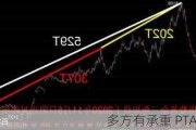 多方有承重 PTA跌后反弹