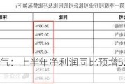 金冠电气：上半年净利润同比预增52.07%―58.15%