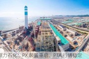 恒力石化：PX 装置重启，PTA 行情稳定