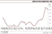 纯碱期货大涨6.53%：供需两端支撑 地产政策助力涨势