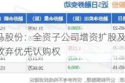 神马股份：全资子公司增资扩股及公司放弃优先认购权