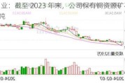 云南铜业：截至 2023 年末，公司保有铜***矿石量 9.78 亿吨