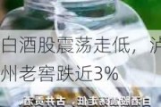 白酒股震荡走低，泸州老窖跌近3%