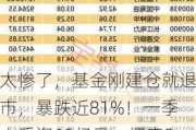 太惨了，基金刚建仓就退市，暴跌近81%！一季末斥资69亿元，押宝235只小盘绩差股，这只股巨亏近120亿元