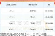 湖南天雁(600698.SH)：目前公司B股对资产注入并无障碍