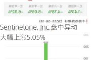 Sentinelone, Inc.盘中异动 大幅上涨5.05%