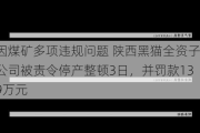 因煤矿多项违规问题 陕西黑猫全资子公司被责令停产整顿3日，并罚款139万元