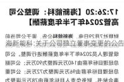 海新能科:关于公司独立董事变更的公告