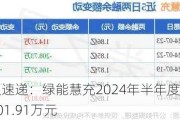 财报速递：绿能慧充2024年半年度净利润101.91万元