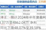 海洋王：预计2024年半年度盈利4178.37万至4862.04万 净利润同比下降48.07%至39.58%