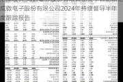 汇成股份:海通证券股份有限公司关于合肥新汇成微电子股份有限公司2024年持续督导半年度跟踪报告