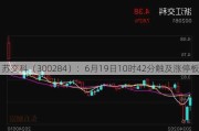 苏交科（300284）：6月19日10时42分触及涨停板