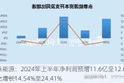 永泰能源：2024年上半年净利润预增11.6亿至12.6亿，同比增长14.54%至24.41%