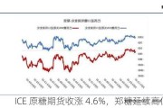 ICE 原糖期货收涨 4.6%，郑糖延续高位震荡