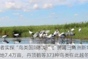 每经记者实探“鸟类国际机场”：黄河三角洲新增淡水沼泽湿地7.4万亩，丹顶鹤等373种鸟类在此越冬