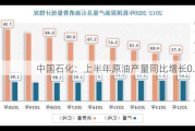 中国石化：上半年原油产量同比增长0.6%