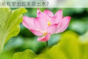 市场有望出现芙蓉出水？