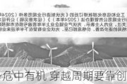 光伏行业形势危中有机 穿越周期要靠创新和质量