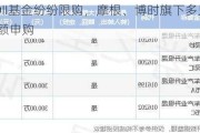 绩优QDII基金纷纷限购，摩根、博时旗下多只基金暂停大额申购