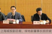 上海城投副总裁、绿地副董事长胡欣被调查 涉嫌***违法