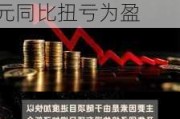 南南资源发盈喜 预期年度除税后溢利约不少于3600万港元同比扭亏为盈