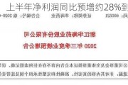 华海药业：上半年净利润同比预增约28%到38%