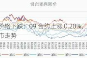 鸡蛋价格下跌：09 合约上涨 0.20%，关注后市走势