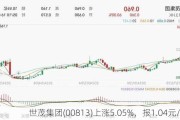 世茂集团(00813)上涨5.05%，报1.04元/股